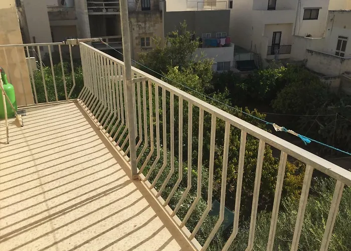 Coral * St. Paul's Bay